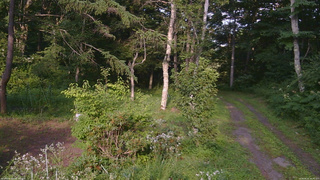 長野県菅平高原 ゆたか山荘 坂上 2026/08/02 16:45