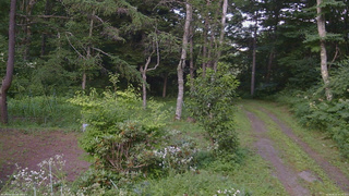 長野県菅平高原 ゆたか山荘 坂上 2026/08/02 17:15