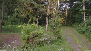 長野県菅平高原 ゆたか山荘 坂上 2026/08/02 17:30