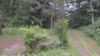 長野県菅平高原 ゆたか山荘 坂上 2026/08/02 18:30