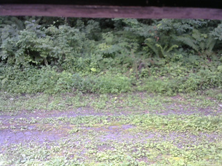 長野県菅平高原 ゆたか山荘 東側(坂下) 2026/08/03 09:45