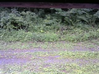 長野県菅平高原 ゆたか山荘 東側(坂下) 2026/08/03 10:00