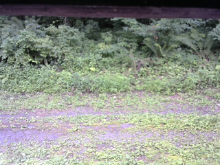 長野県菅平高原 ゆたか山荘 東側(坂下) 2026/08/03 10:30