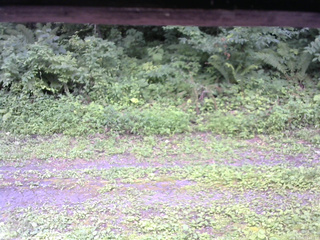 長野県菅平高原 ゆたか山荘 東側(坂下) 2026/08/03 11:45