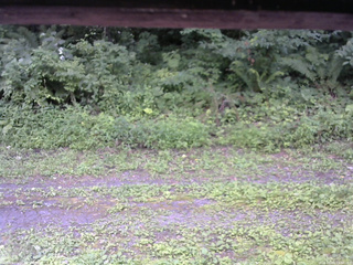 長野県菅平高原 ゆたか山荘 東側(坂下) 2026/08/03 13:00