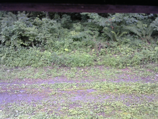 長野県菅平高原 ゆたか山荘 東側(坂下) 2026/08/03 15:00