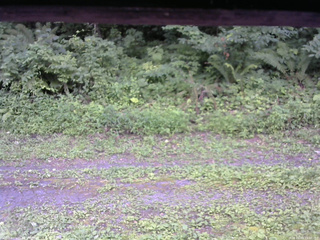 長野県菅平高原 ゆたか山荘 東側(坂下) 2026/08/03 15:30