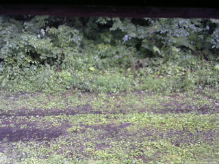 長野県菅平高原 ゆたか山荘 東側(坂下) 2026/08/03 16:45