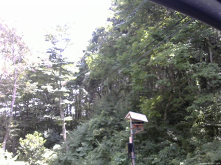 長野県菅平高原 ゆたか山荘 温度計 2026/08/03 12:15