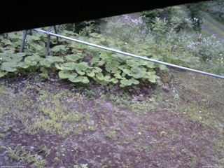 長野県菅平高原 ゆたか山荘 駐車場 2026/08/03 05:30