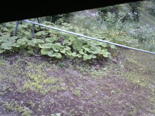 長野県菅平高原 ゆたか山荘 駐車場 2026/08/03 06:00