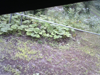 長野県菅平高原 ゆたか山荘 駐車場 2026/08/03 06:15