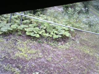 長野県菅平高原 ゆたか山荘 駐車場 2026/08/03 06:30