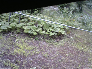 長野県菅平高原 ゆたか山荘 駐車場 2026/08/03 07:00