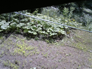 長野県菅平高原 ゆたか山荘 駐車場 2026/08/03 08:45