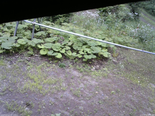 長野県菅平高原 ゆたか山荘 駐車場 2026/08/03 09:30