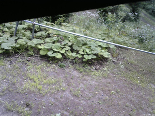 長野県菅平高原 ゆたか山荘 駐車場 2026/08/03 09:45