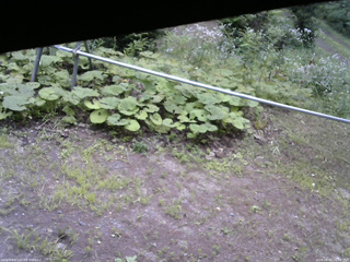 長野県菅平高原 ゆたか山荘 駐車場 2026/08/03 10:00