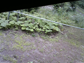 長野県菅平高原 ゆたか山荘 駐車場 2026/08/03 11:15