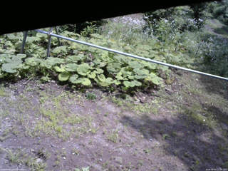 長野県菅平高原 ゆたか山荘 駐車場 2026/08/03 11:30