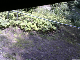 長野県菅平高原 ゆたか山荘 駐車場 2026/08/03 12:15