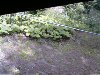 長野県菅平高原 ゆたか山荘 駐車場 2026/08/03 12:30