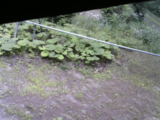 長野県菅平高原 ゆたか山荘 駐車場 2026/08/03 14:00