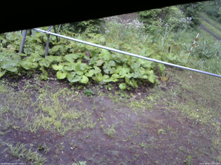 長野県菅平高原 ゆたか山荘 駐車場 2026/08/03 16:45