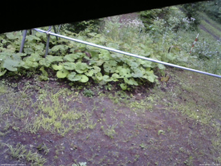 長野県菅平高原 ゆたか山荘 駐車場 2026/08/03 17:30