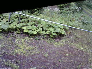 長野県菅平高原 ゆたか山荘 駐車場 2026/08/03 17:45