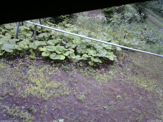 長野県菅平高原 ゆたか山荘 駐車場 2026/08/03 18:00