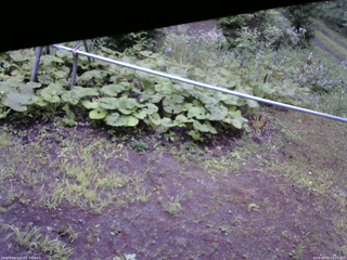長野県菅平高原 ゆたか山荘 駐車場 2026/08/03 18:15
