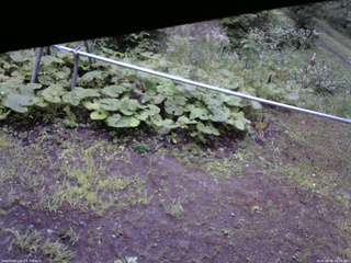 長野県菅平高原 ゆたか山荘 駐車場 2026/08/03 18:30