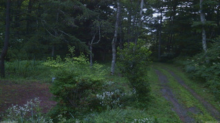 長野県菅平高原 ゆたか山荘 坂上 2026/08/03 05:00