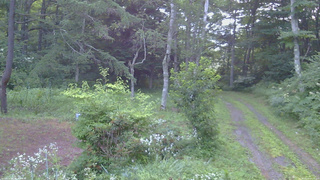 長野県菅平高原 ゆたか山荘 坂上 2026/08/03 05:15