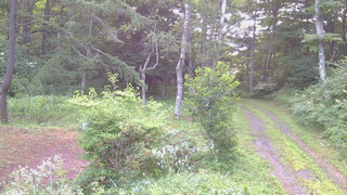 長野県菅平高原 ゆたか山荘 坂上 2026/08/03 05:30