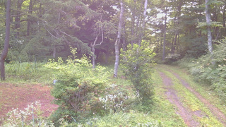 長野県菅平高原 ゆたか山荘 坂上 2026/08/03 05:45