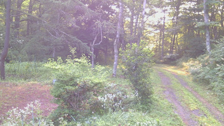 長野県菅平高原 ゆたか山荘 坂上 2026/08/03 06:00