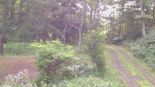 長野県菅平高原 ゆたか山荘 坂上 2026/08/03 06:15