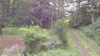 長野県菅平高原 ゆたか山荘 坂上 2026/08/03 06:30