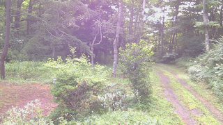 長野県菅平高原 ゆたか山荘 坂上 2026/08/03 07:00