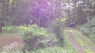 長野県菅平高原 ゆたか山荘 坂上 2026/08/03 07:15