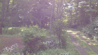 長野県菅平高原 ゆたか山荘 坂上 2026/08/03 07:30