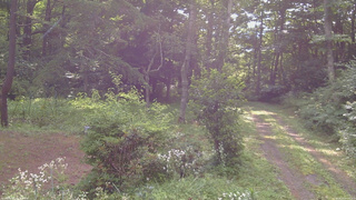 長野県菅平高原 ゆたか山荘 坂上 2026/08/03 07:45