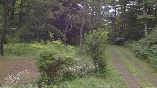 長野県菅平高原 ゆたか山荘 坂上 2026/08/03 08:00