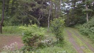 長野県菅平高原 ゆたか山荘 坂上 2026/08/03 08:15