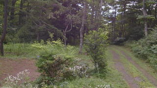 長野県菅平高原 ゆたか山荘 坂上 2026/08/03 08:30