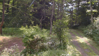 長野県菅平高原 ゆたか山荘 坂上 2026/08/03 08:45