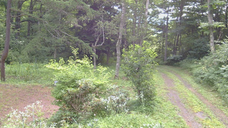 長野県菅平高原 ゆたか山荘 坂上 2026/08/03 09:00