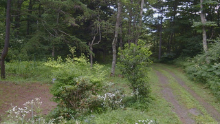 長野県菅平高原 ゆたか山荘 坂上 2026/08/03 09:15